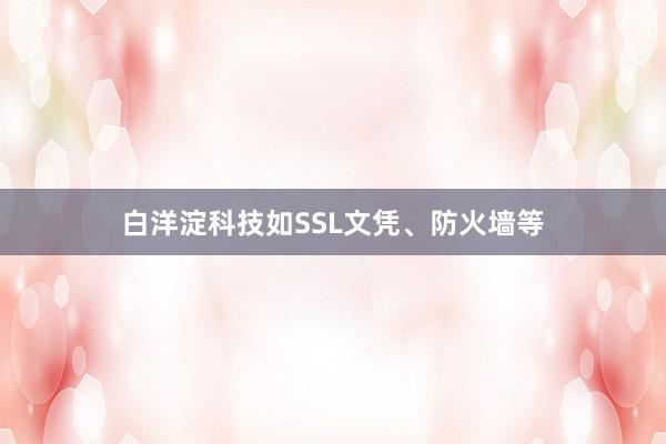 白洋淀科技如SSL文凭、防火墙等