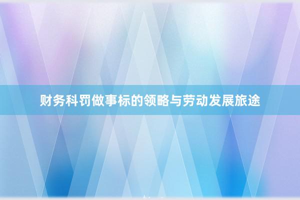 财务科罚做事标的领略与劳动发展旅途