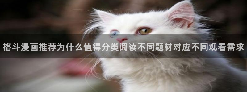 七七漫画入口导航：格斗漫画推荐为什么值得分类阅读不同题材对应不同观看需求